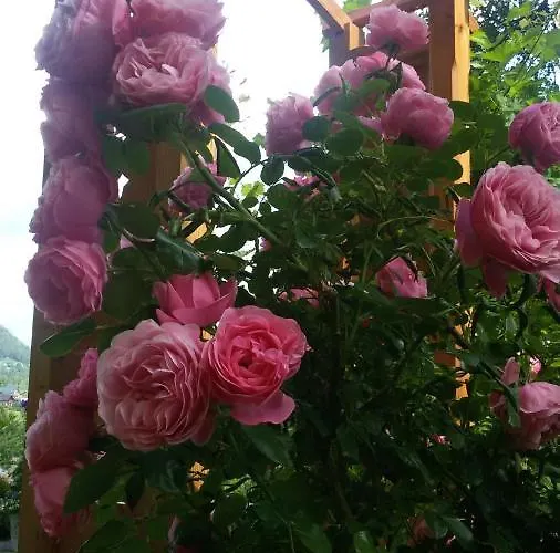 Haus Lerchenreith Ubytování v soukromí Bad Aussee